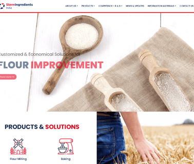 Stern Ingredients India cetane improver