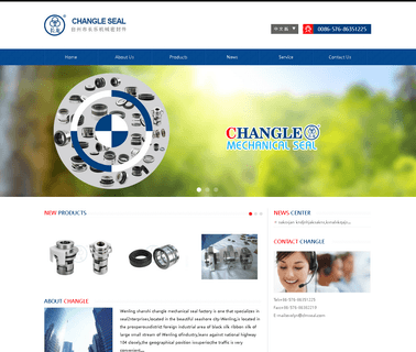 Wenling Shanshi Changle Mechanical Seal agitator