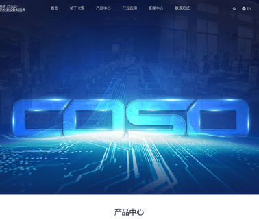 Dongguan Coso Electronic Technology detector needle