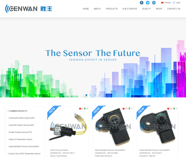 Ruian Cenwan Electric Auto Spare Parts auto parts fuel injector