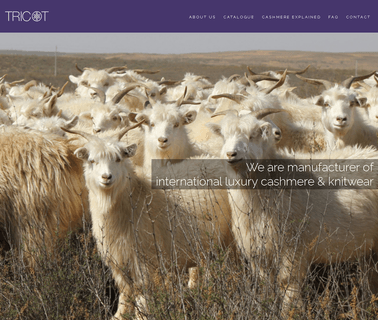 Tricot Industries Pvt. cashmere knitwear sweaters