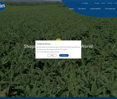 Fyffes N.A. organic watermelons
