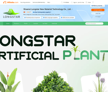 Shaanxi Longstar New Material Technology aviation led