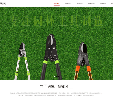 Yongkang Jianli Tools gasoline chain saw
