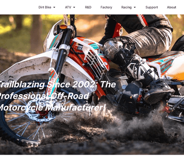Zhejiang Bosuer Motion Apparatus bikes street