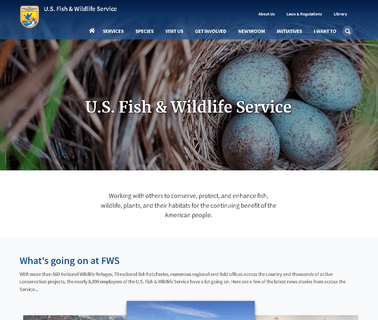 Fish and Aquatic Conservation fish birds