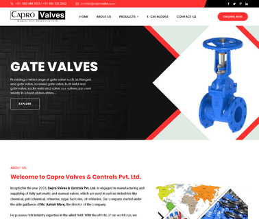 Capro Valves & Controls diaphragm pneumatic