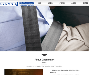 Oppermann Webbing Kunshan seat webbing belt