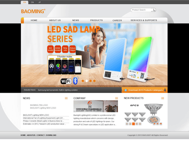 Shenzhen Baolight Lighting cabinet led bar