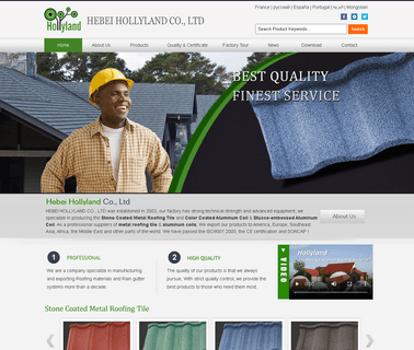 Hebei Hollyland high quality pvc coated