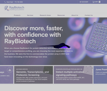Home - Raybiotech monoclonal antibody