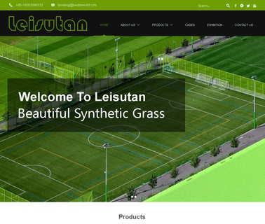 Wuxi Leisutan Artificial Turf artificial turf grass carpet