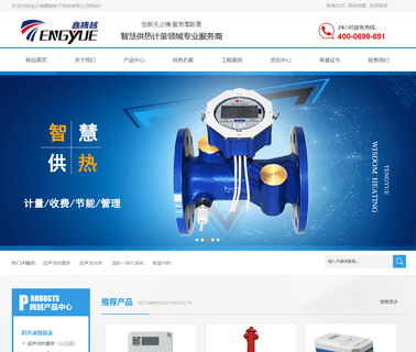 Lianyungang Tengyue Electronic Technology woltman water meter