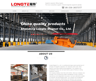 Shandong Longte Magnet separator detector