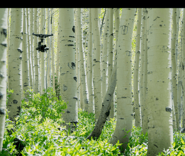 Home - High Sight motion picture lighting