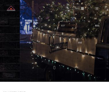Linhai Jiahao Lighting christmas string lights