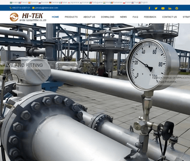 Wenzhou Hi-Tek Valve and Fitting gauge fittings