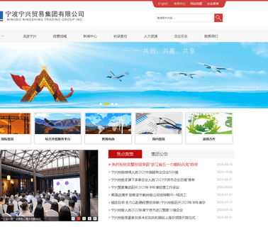 Ningbo Ningshing Trading Group Inc. decoration electrical