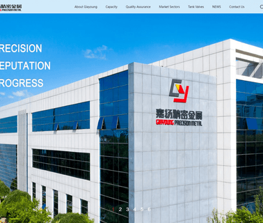 Giayoung Precision Metal stainless precision tubes