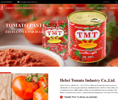 Hebei Tomato Industry bouillon seasoning