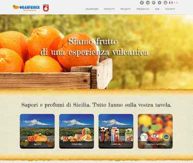 Oranfrizer Srl juice vegetables