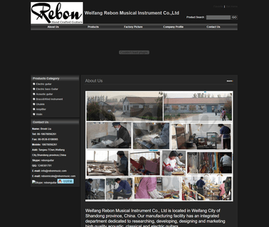 Weifang Rebon Musical Instrument active electric