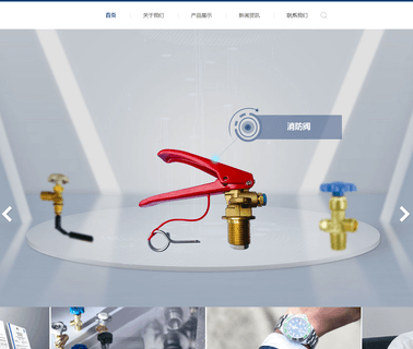 Ningbo Fuhua Valve fire extinguisher products