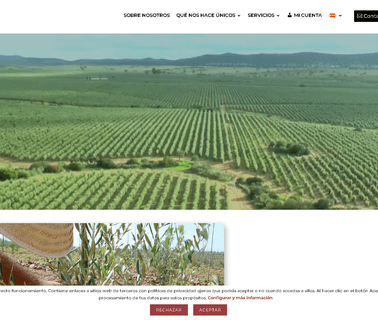 Innoliva - Premier Extra Virgin Olive Oil two edge