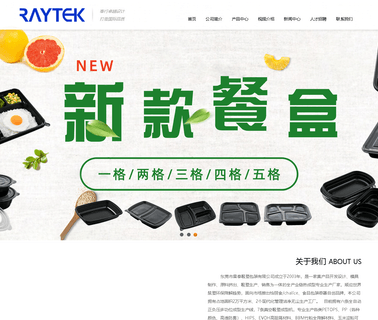 Dongguan Raytek Blister Packing blister packaging tray