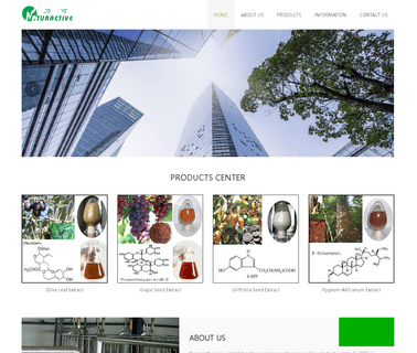 Shenzhen Naturactive bean seed