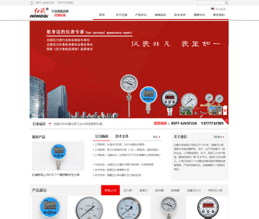 Hongqi Instrument Changxing back stainless steel