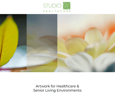 Home - Studio El donor and
