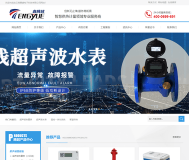 Lianyungang Tengyue Electronic Technology electronic type meter