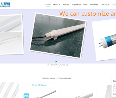 Shenzhen Ben Wei Lighting Technology t10 light bulb