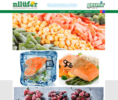 Nilufer Tarim cheese bean