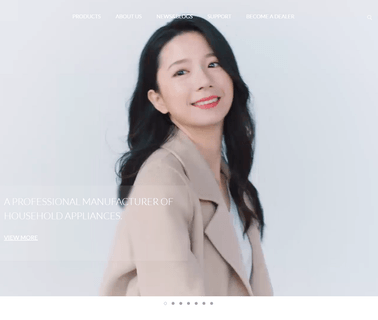 Zhejiang Huaguang Electric Group steam and dry irons