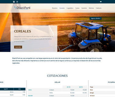 Diaz & Forti S.A rice