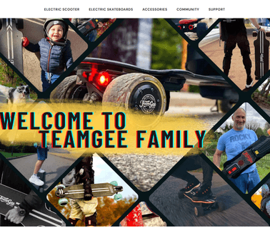 Shenzhen Teamgee Intelligent Technology Ltd. electric self balance unicycle