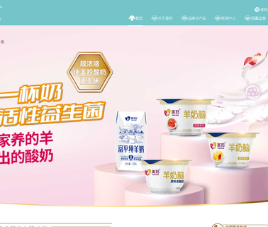 Shaanxi Hongxing Meiling Dairy free formula