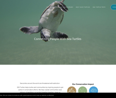 Home - See Turtles turtles teenage