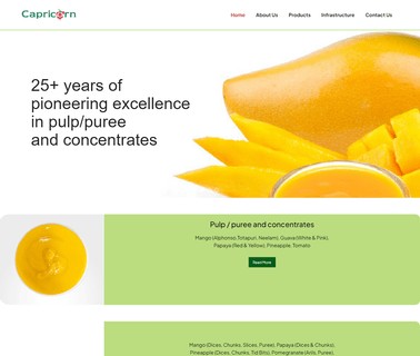 Capricorn Food Stuff India Ltd iso tuv