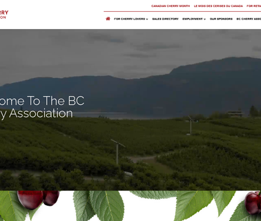 Canadian Cherries fruit coast