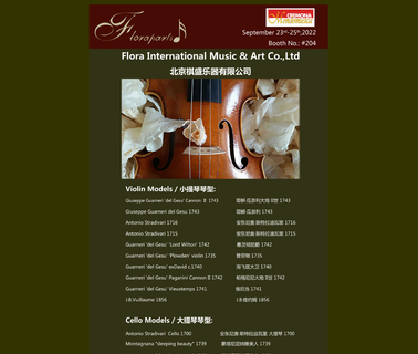 Que Shan Jin Long Musical Instrument violas