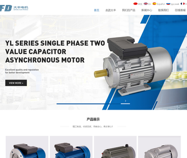 Zhejiang Hongda Group Dafeng Electronics big power motor