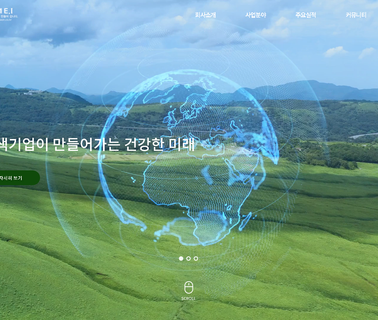 Hyundai Resources resources