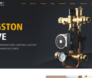 Taizhou Kingston Valve vent valve
