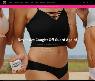 Seamless Womens Underwear On the Go Travel 4In1 womens fresh