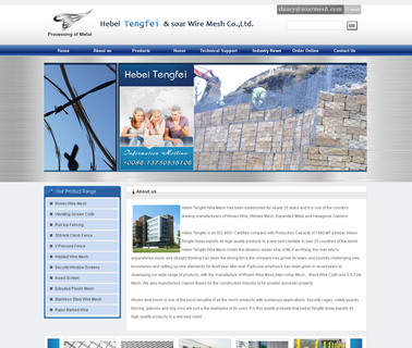Hebei Tengfei Wire Mesh metal insect screen