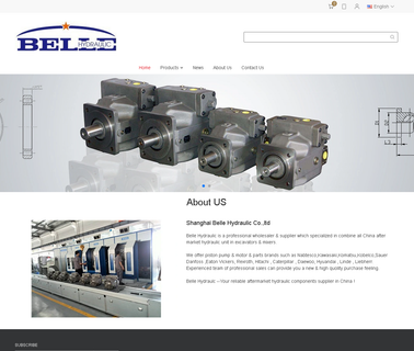 Shanghai Belle Hydraulic diesel part