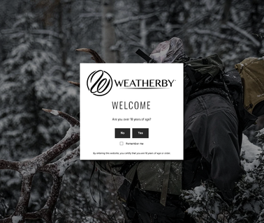 Weatherby.Com auto gun